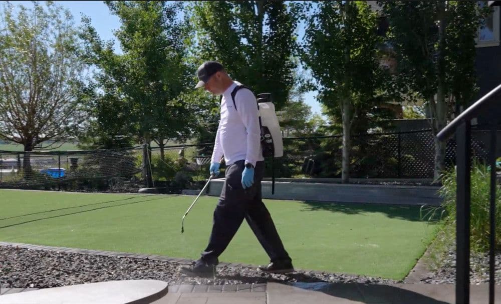 Avayda Pest Control Vancouver